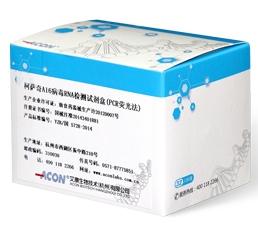 柯萨奇A16病毒RNA检测试剂盒（PCR荧光法）_艾康生物技术（杭州）有限公司.png